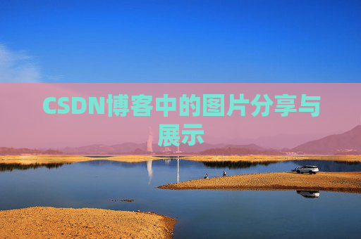 CSDN博客中的图片分享与展示